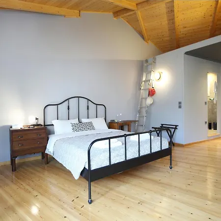Eliamaria Artistic House بيت للعطل Lefkáda
